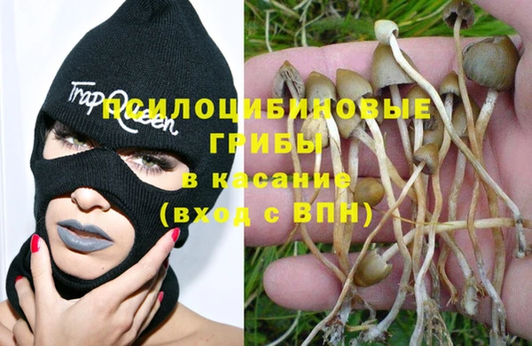 эйфоретик Абаза