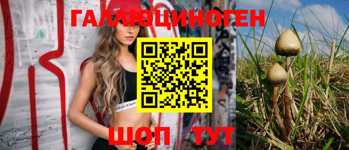 Галлюциногенные грибы ЛСД  Вход с VPN  Псилоцибиновые грибы Psilocybe  Каменск-Шахтинский 